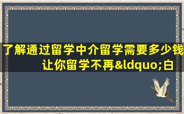 了解通过留学中介留学需要多少钱 让你留学不再“白花钱”！